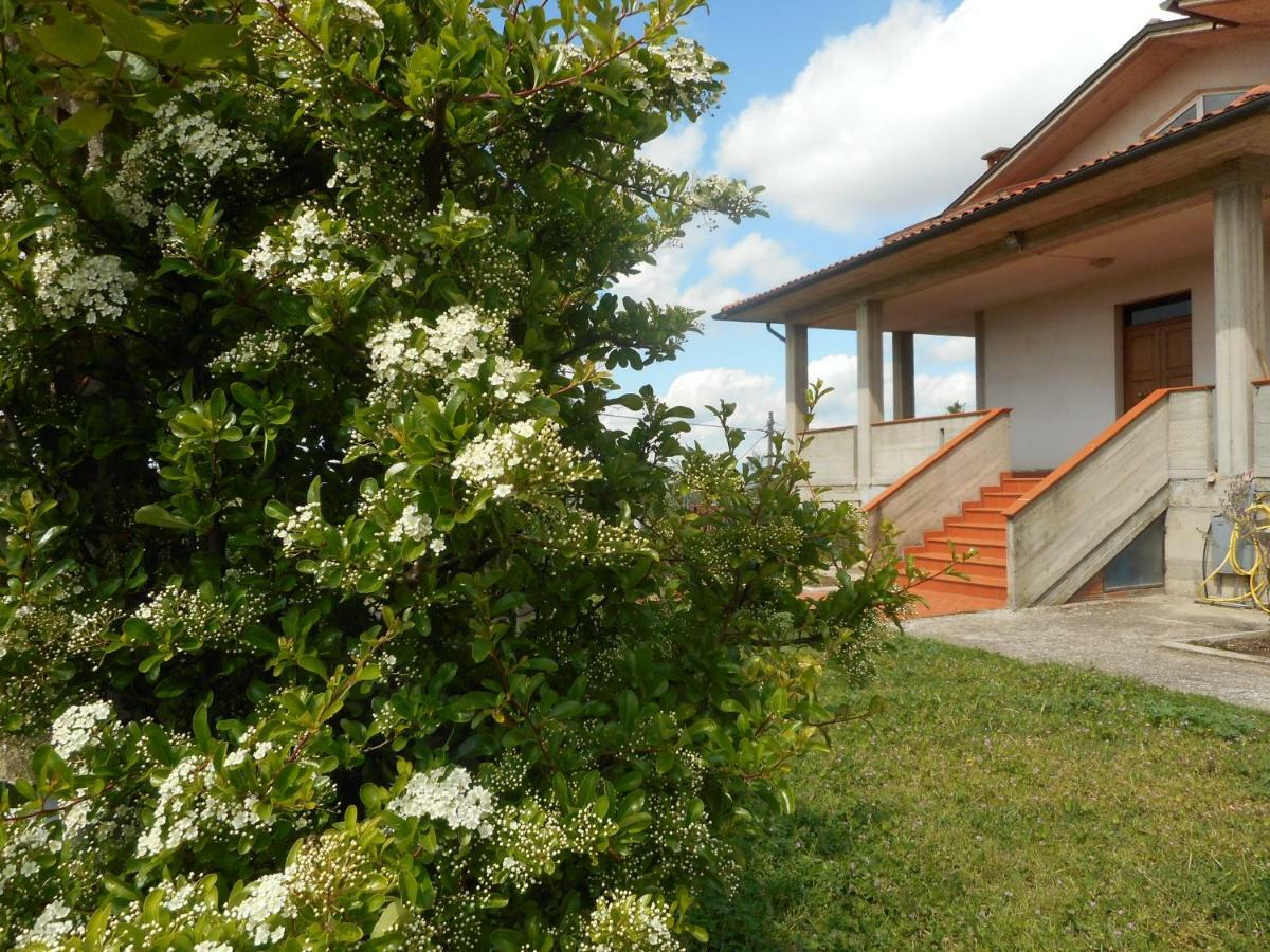 Appartamento Poggio Fiorito Castiglion Fiorentino Esterno foto