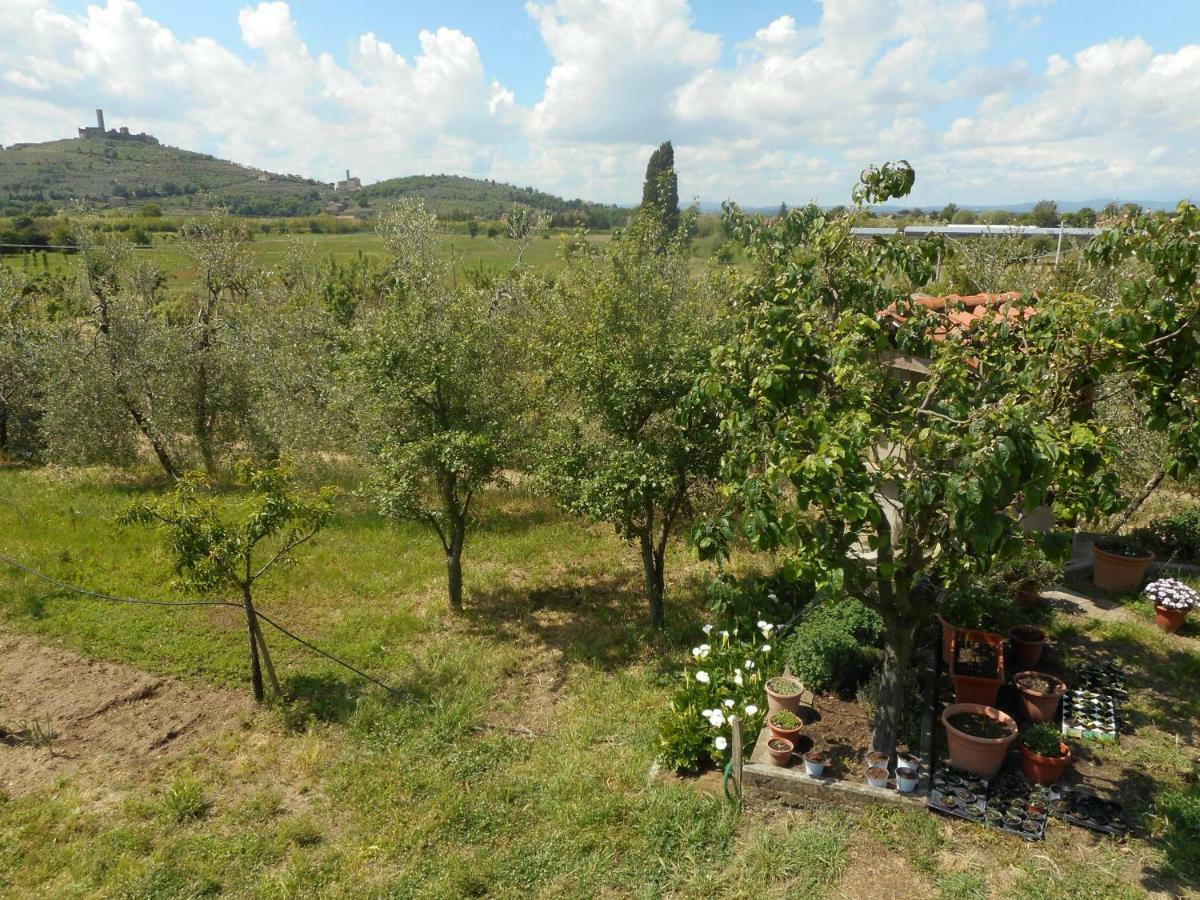 Appartamento Poggio Fiorito Castiglion Fiorentino Esterno foto