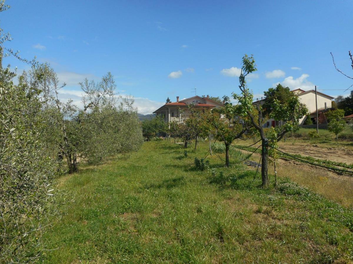 Appartamento Poggio Fiorito Castiglion Fiorentino Esterno foto