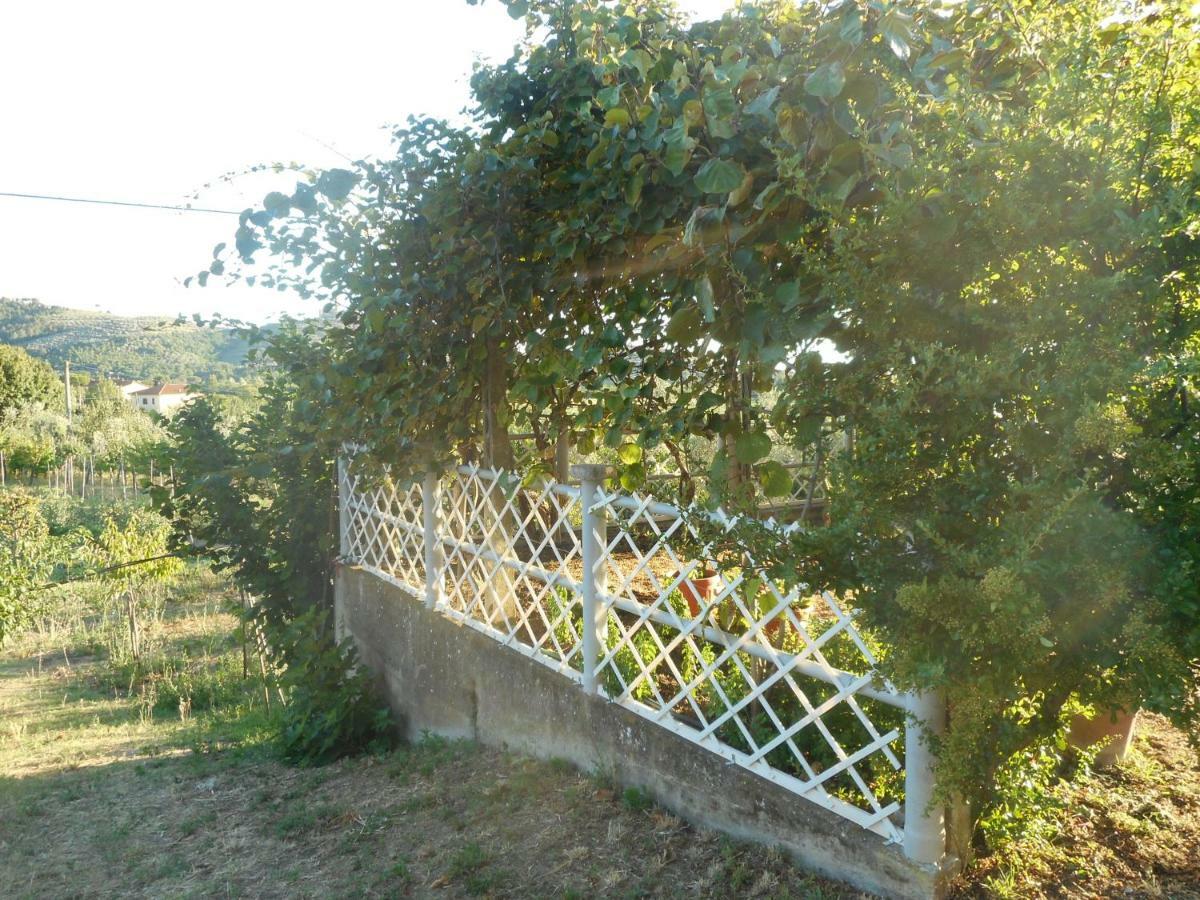 Appartamento Poggio Fiorito Castiglion Fiorentino Esterno foto